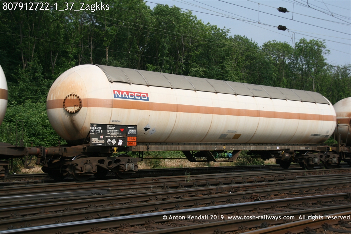 807912722-1_37_Zagkks.jpg